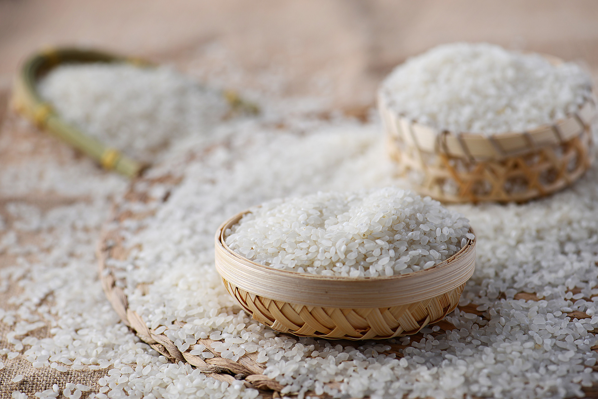 粳米和大米的区别（买大米，挑"粳米"还是"大米"？营养差别大，学会可别乱买了） | 说明书网